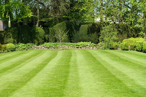 Comment embellir votre jardin en aménageant une pelouse artificielle ?