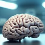 neurosciences-et-coaching